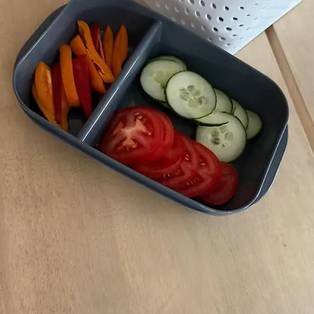 Elaemyksellinen Kotivaunussa *